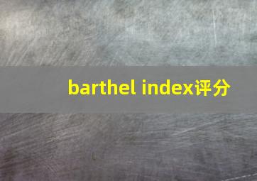 barthel index评分